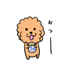 トイプースタンプー（個別スタンプ：2）