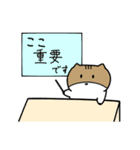 リス坊（個別スタンプ：31）