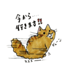 ちゃすたんぷ Ver.1.2（個別スタンプ：20）