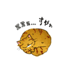 ちゃすたんぷ Ver.1.2（個別スタンプ：29）