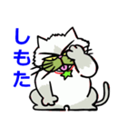 京都弁猫1 ～”小次郎”デビュ－～（個別スタンプ：17）