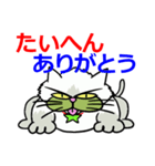 京都弁猫1 ～”小次郎”デビュ－～（個別スタンプ：22）