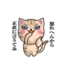 大阪のおばはん猫（個別スタンプ：3）