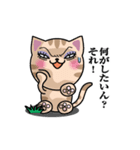 大阪のおばはん猫（個別スタンプ：39）
