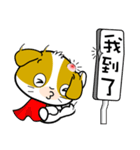 Baby Noon-Noon Daily Chinese Chats OMS（個別スタンプ：3）