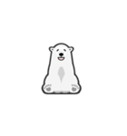 Cool Bears（個別スタンプ：5）
