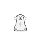Cool Bears（個別スタンプ：6）