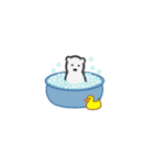 Cool Bears（個別スタンプ：23）
