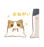 とけるねこ（個別スタンプ：38）