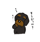 ころころワイヤーダックス ちょっくん（個別スタンプ：37）