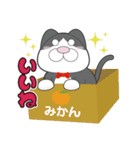 タキシードキャット（個別スタンプ：31）