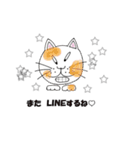 homecat（個別スタンプ：6）