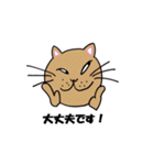 homecat（個別スタンプ：8）