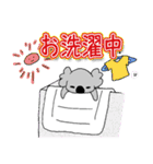 ベビーこあら＊。2（個別スタンプ：1）
