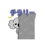 ベビーこあら＊。2（個別スタンプ：15）