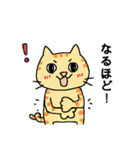 猫のヒナチロ（個別スタンプ：12）