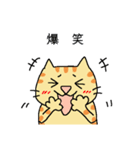 猫のヒナチロ（個別スタンプ：15）