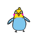 癒しドリ（個別スタンプ：8）