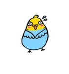 癒しドリ（個別スタンプ：14）