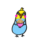 癒しドリ（個別スタンプ：16）