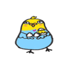 癒しドリ（個別スタンプ：22）