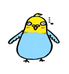 癒しドリ（個別スタンプ：33）