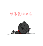 うちの猫は黒猫さん（個別スタンプ：15）