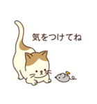 ねこのほどほど敬語（個別スタンプ：22）