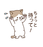 ねこのほどほど敬語（個別スタンプ：24）