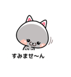 吹き出しにゃんこ（個別スタンプ：30）