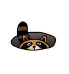 アライグマの たぬー（個別スタンプ：3）