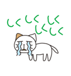 野良猫物語（個別スタンプ：16）