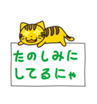 野良猫物語（個別スタンプ：35）