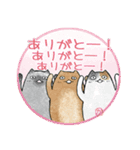 ねこの人（個別スタンプ：6）