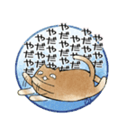 ねこの人（個別スタンプ：10）