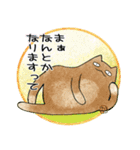 ねこの人（個別スタンプ：11）