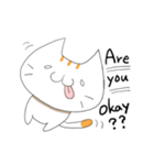 Always happy cat！ English sticker（個別スタンプ：19）