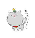 はいいろにゃん子（個別スタンプ：1）