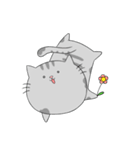 はいいろにゃん子（個別スタンプ：21）