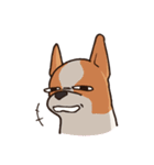 Dogs world（個別スタンプ：17）