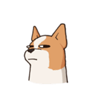 Dogs world（個別スタンプ：18）