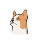 Dogs world（個別スタンプ：19）