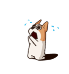 Dogs world（個別スタンプ：24）
