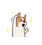 Dogs world（個別スタンプ：31）