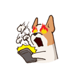 Dogs world（個別スタンプ：34）
