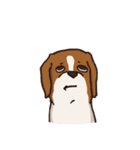 Dogs world（個別スタンプ：38）