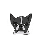 奈良坂先生！（個別スタンプ：32）