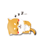 しばけん-たちばな（個別スタンプ：10）