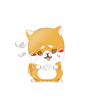 しばけん-たちばな（個別スタンプ：12）