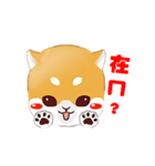しばけん-たちばな（個別スタンプ：25）